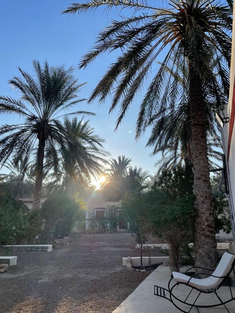 Dar Barka Ξενοδοχείο Kebili Εξωτερικό φωτογραφία